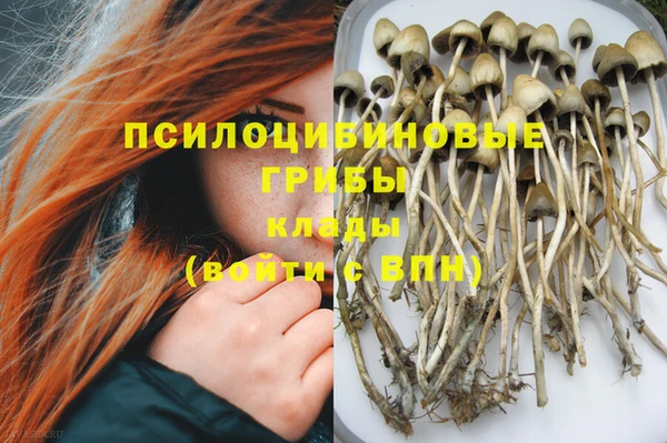 кокс Аркадак